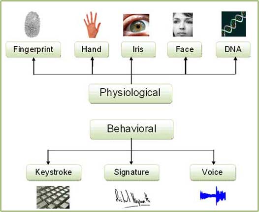 An overview of Behavioral and Physiological Characteristics used in Biometrics Technology An overview of Behavioral and Physiological Characteristics used in Biometrics Technology