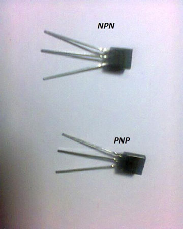 How to Get an Organic Input Signal: Circuit to Detect a Living Organism