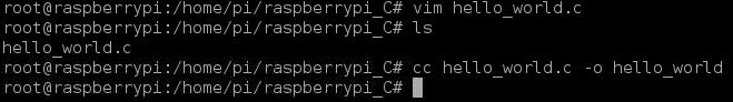 Raspberry Pi