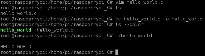 Raspberry Pi