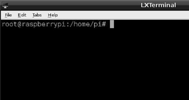 LXT Terminal