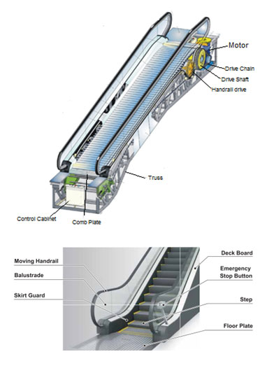 A Diagram Illustrating Various Parts of an Escalator