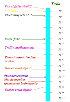 A figure explaining the magnitude of magnetic fields generated by various sources