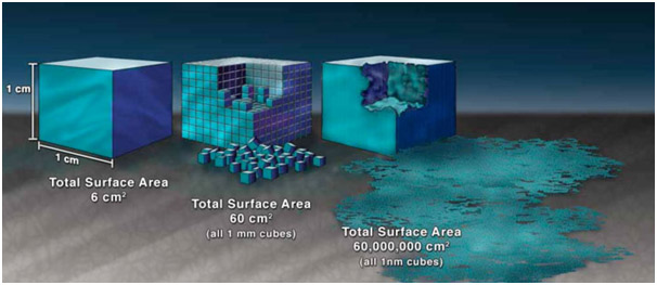 A Figure Showing Surface Area of a Nanomaterial
