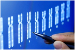 A Representational Image of the Field of Bioinformatics