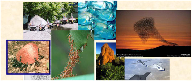 An Image Illustrating De-Centralization Characteristic of Swarm Robotics An Image Illustrating De-Centralization Characteristic of Swarm Robotics