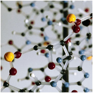 An Image Showing Biotechnology use in Handling Diseases and Environmental Issues