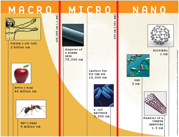 An Image Showing Difference Among Micro, Nano, and Macro Inches