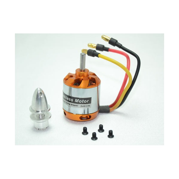 Brushless DC Motor