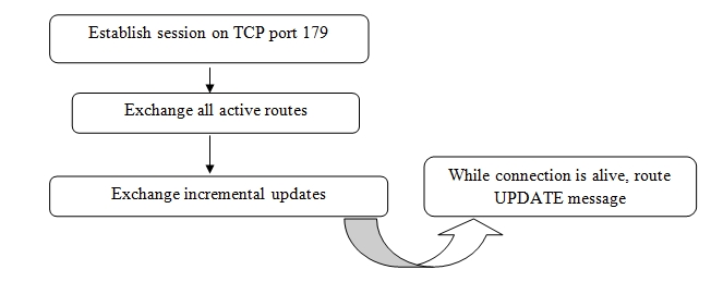 Block Diagram Showing BGP Operation