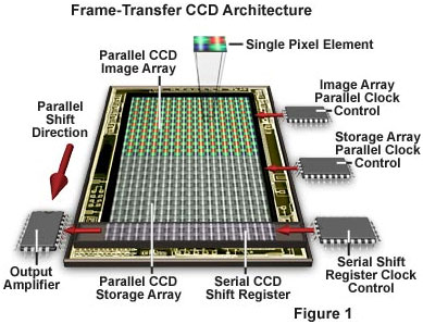 Diagram Showing Frame Transfer CCD Architecture