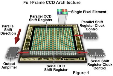 Diagram Showing Full Frame CCD Architecture