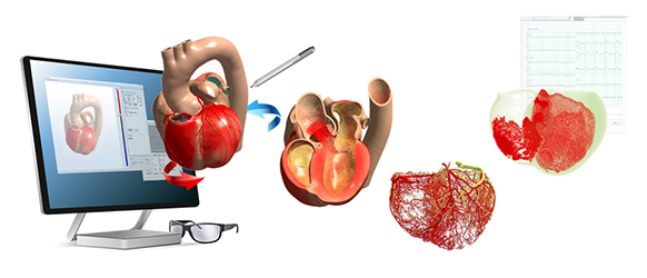 Fujitsu’s VR Heart Simulator Viewer with Stereoscopic Display to be used by the University of Tokyo