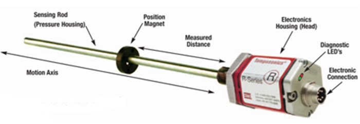 Graphic Image Showing Insides of a Magnetostrictive Position Sensor