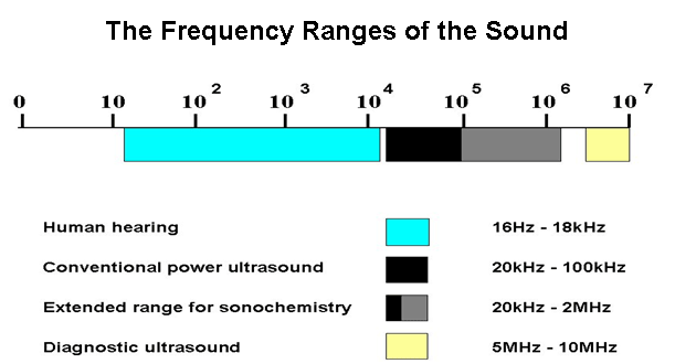 Graphical Figure Of Frequency Ranges Of Sound