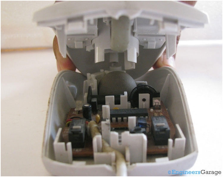 Internal Structure and Mechanism of Mouse