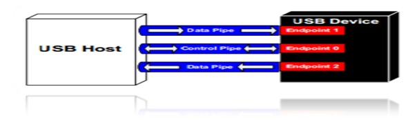 Picture Showing Relationship Between USB Host and Devices