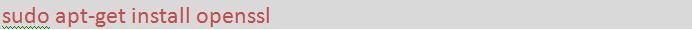 Screenshot of Command to Install Openssl