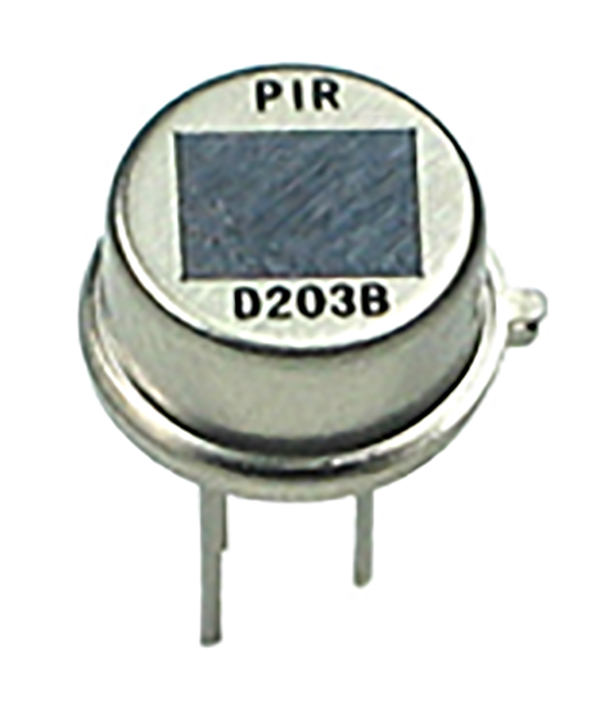 Typical Image of PIR Sensor