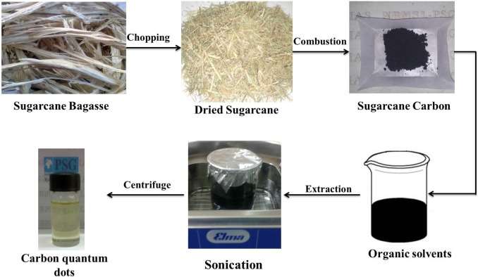 Alternate use of sugarcane waste