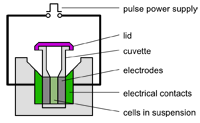 Electroporation Instrument