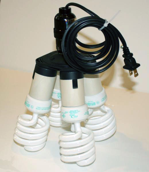 four-cfl-bulbs