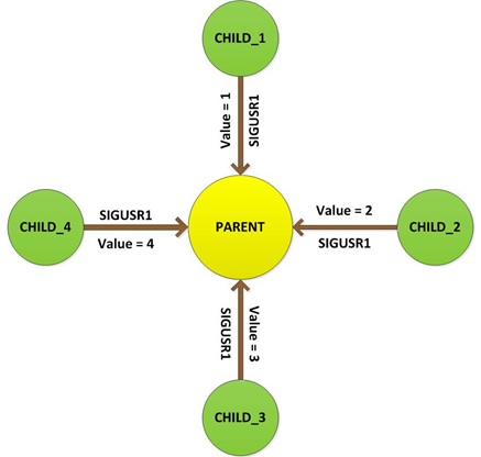 Read Multiple Inputs