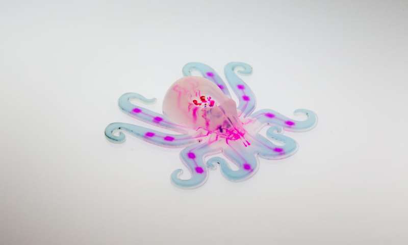 octobot