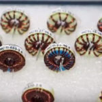 practical guide to inductors